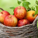 Правильные яблоки — залог пользы для организма.